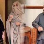 Buzdar Sarkaar: All about corruption behind transfer-posting